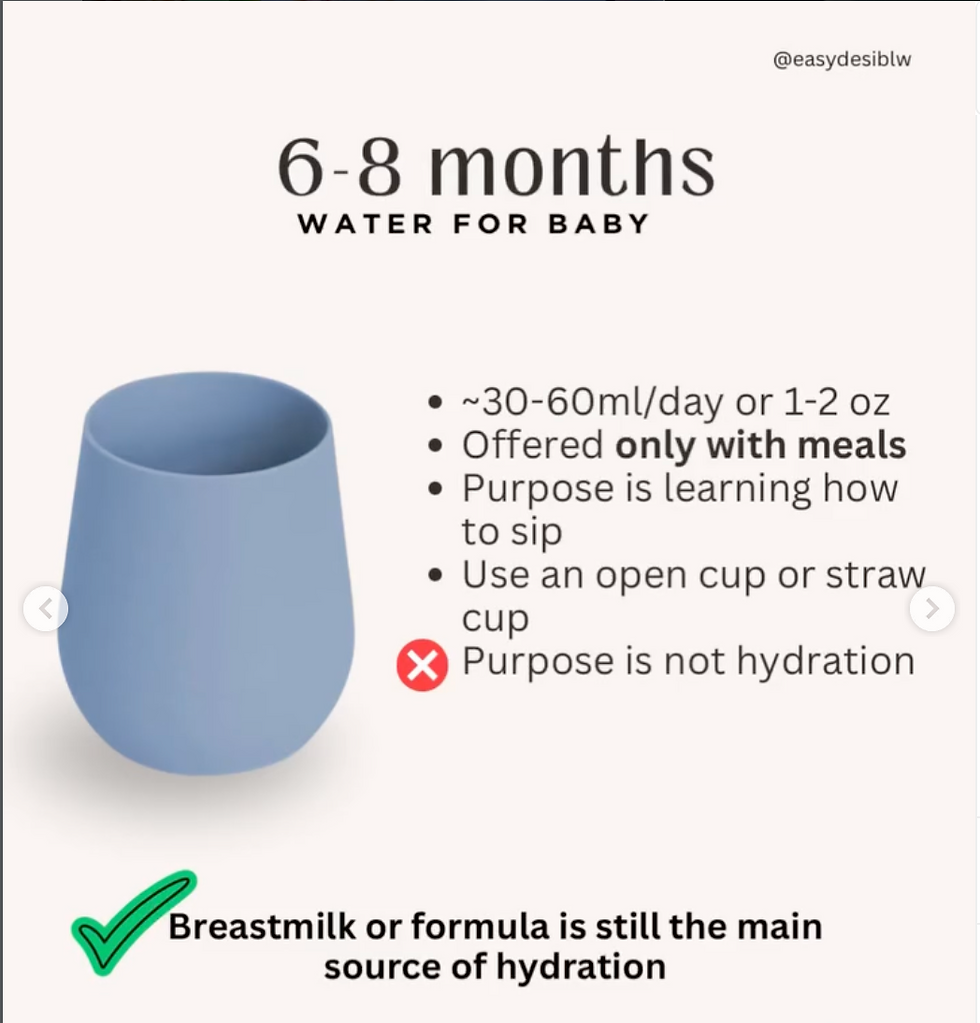 Infographic on giving water to 6-8 month babies: blue cup and note that breastmilk/formula remains main hydration source.