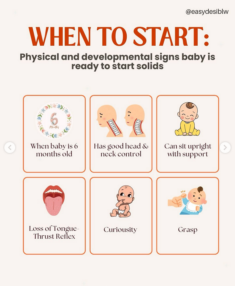 Infographic on when to start solids: 6 months, good head control, sit with support, loss of tongue-thrust reflex, curiosity, grasp.