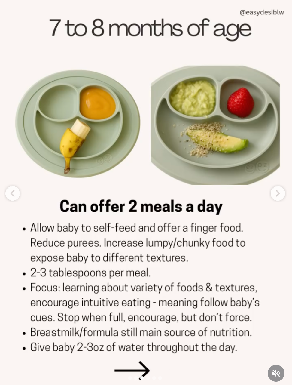 Infographic of baby meals for 7 to 8 months of age, showing two divided plates with purees and fruit, plus feeding tips text.