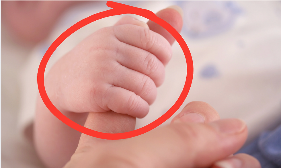 Close-up of a baby’s hand gripping an adult finger, highlighted by a red circle against a soft blurred background.