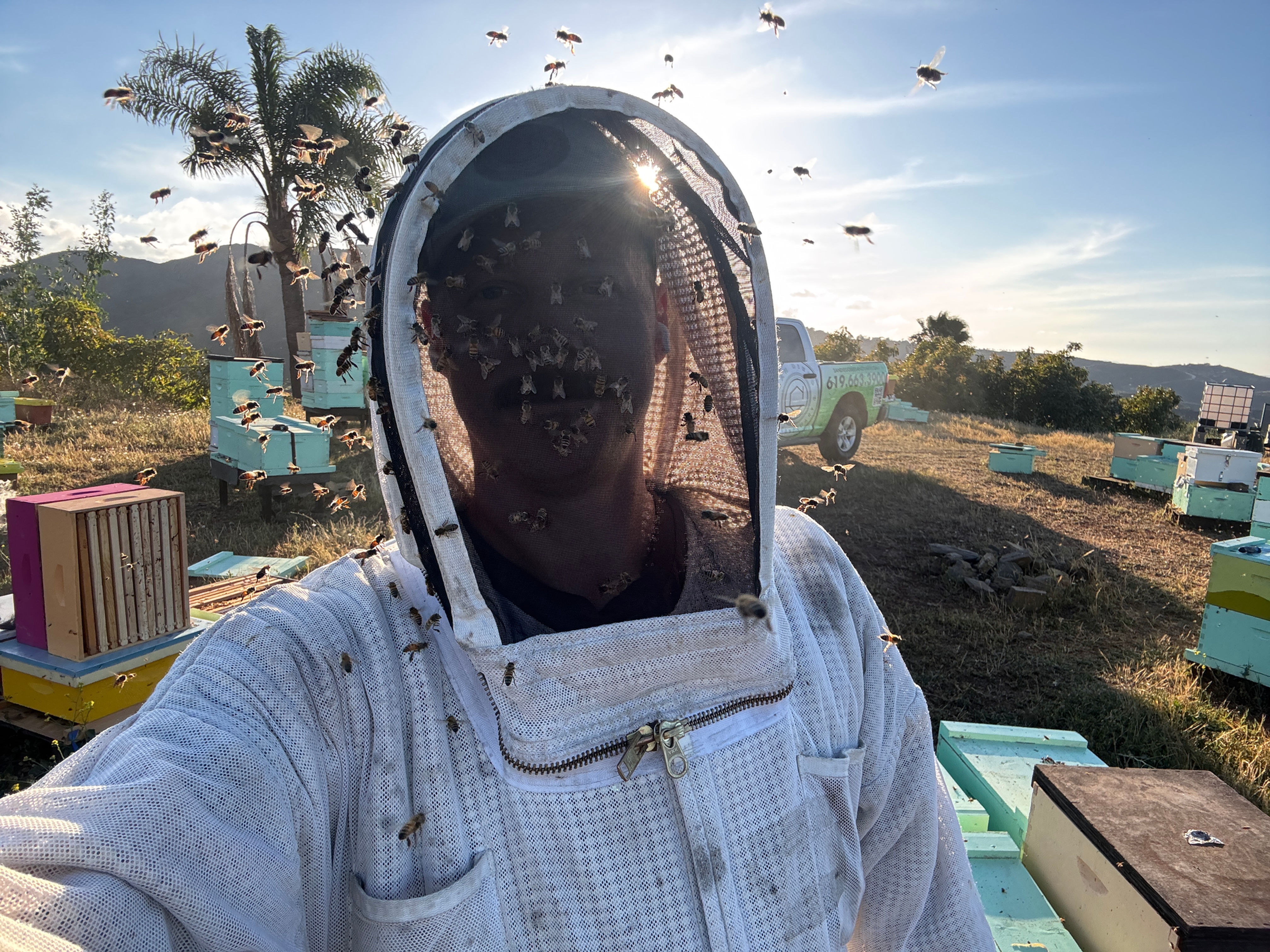 HANDS ON HIVES with Paul Gunn