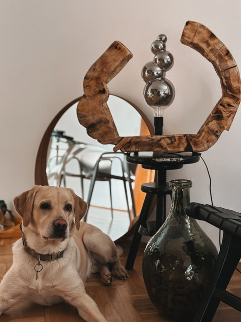 Entdecken Sie die zeitlose Schönheit: Diese handgefertigte Lampe aus Treibholz bringt rustikalen Charme und einzigartige Ästhetik in Ihr Zuhause.