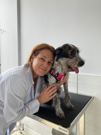 Dra Patricia Roquette - Médica Veterinária