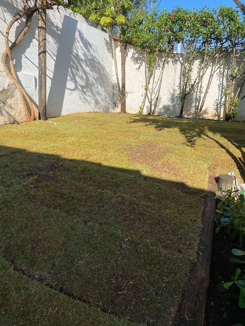 Espaço Verde - Clínica veterinária Pet & Pat