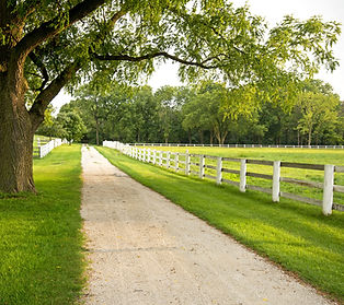 Home Page bottom left (edited) 210777487