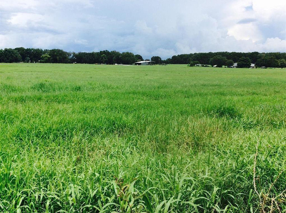 NE 97th Street Rd, Anthony