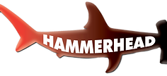 Hammerhead-Industrial--Logo%205X7_edited