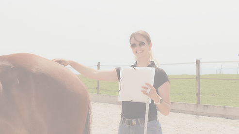 Füttern mit Wissen statt Bauchgefühl (1).png