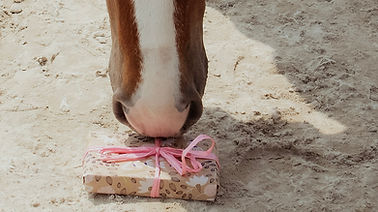 Geschenke für Pferde