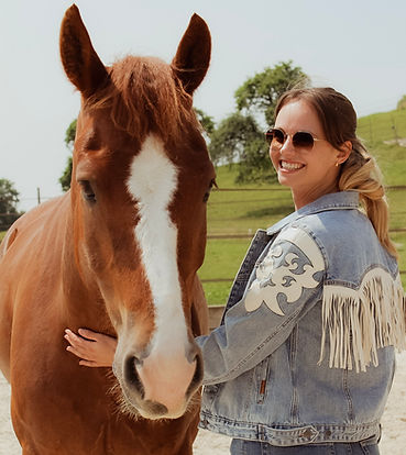 Pferd und Mensch