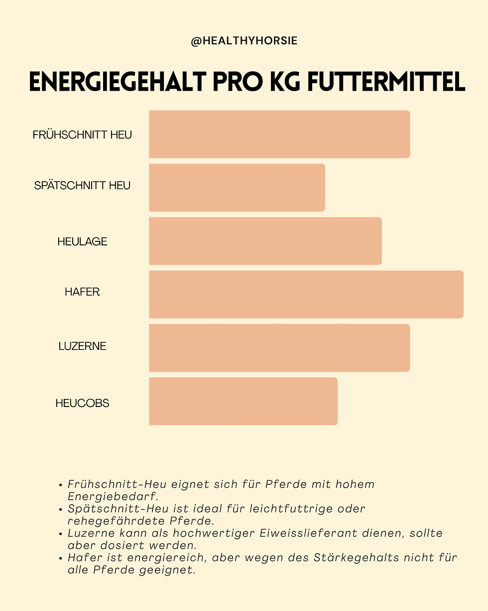 Abbildung verschiedener Energiegehalt Futter Pferd