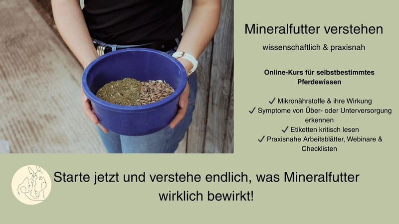 Online Kurs Mineralfutter verstehen Titelbild