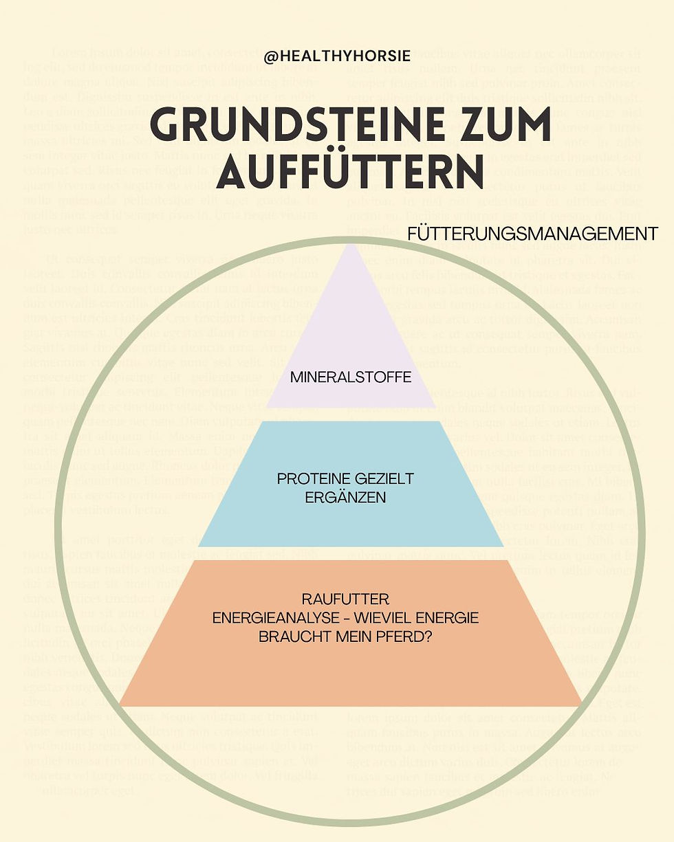 Grundsteine Fütterung