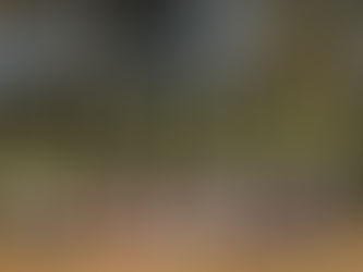 2ª Oficina Regional do Projeto SIPAM