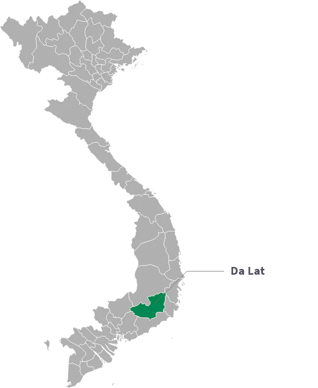 Vietnam Lotus Da Lat SHG