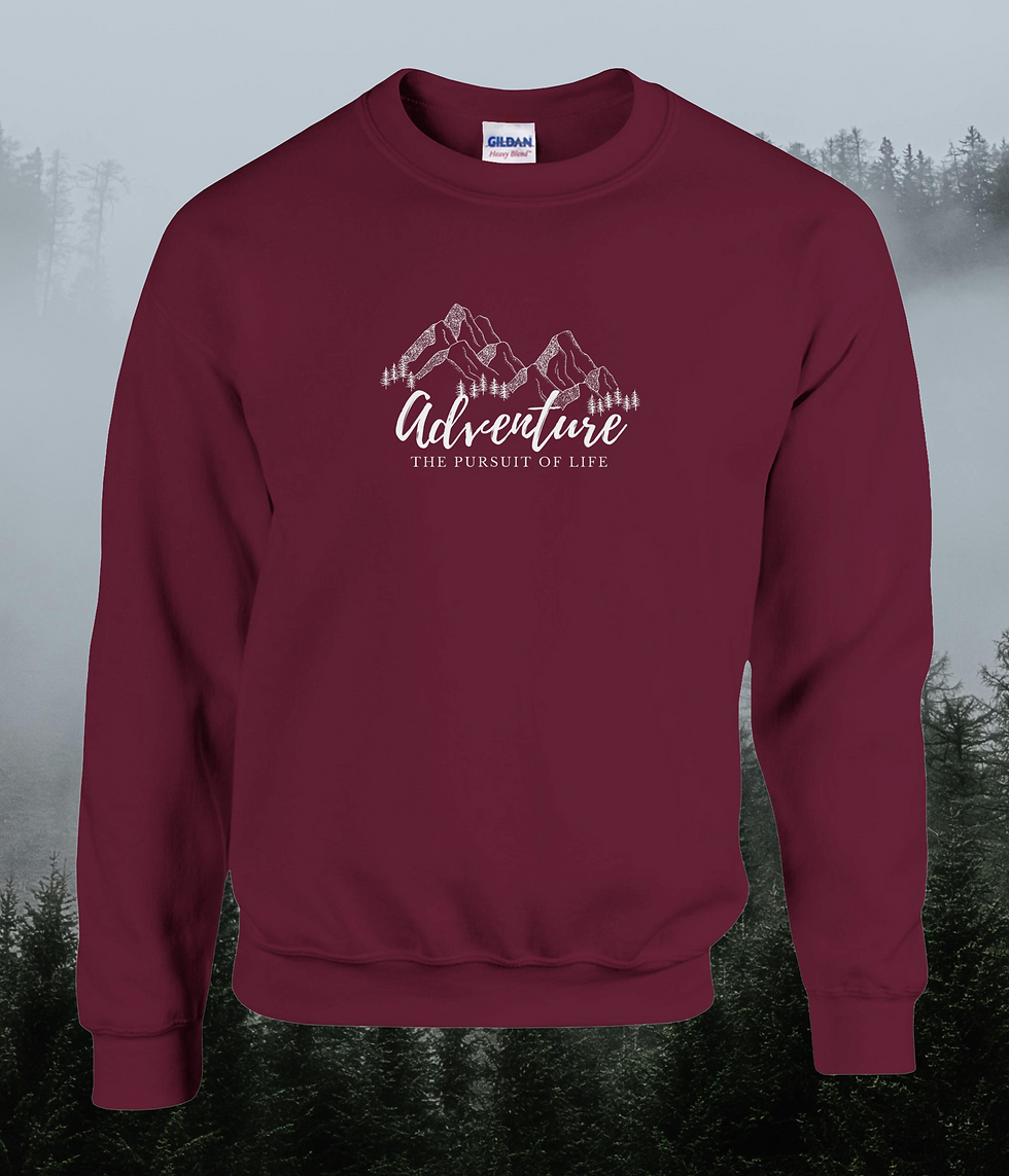 Thumbnail: Pursuit of Life Sweatshirt