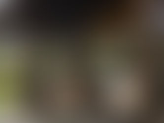 Alternativene må med i «hytteregnestykket» til Prognosesenteret!