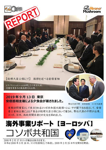 コソボ便り⑦ 2019_9 夕食会(コソボ・安倍首相)-1.jpg