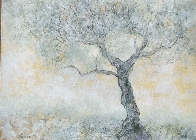 IMG-5486.GIF
