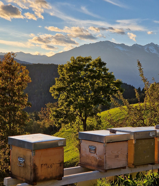 Hinterrainerhof Hafling Urlaub auf dem Bauernhof Ferienwohnung neu Bienen Imkerei Honig