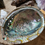Miniaturbild: Abalone Muschel gross
