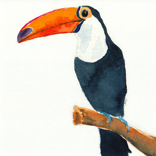 Toucan.jpg