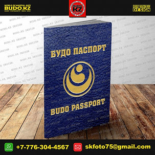 БУДО ПАСПОРТ | BUDO.KZ DESIGN GROUP