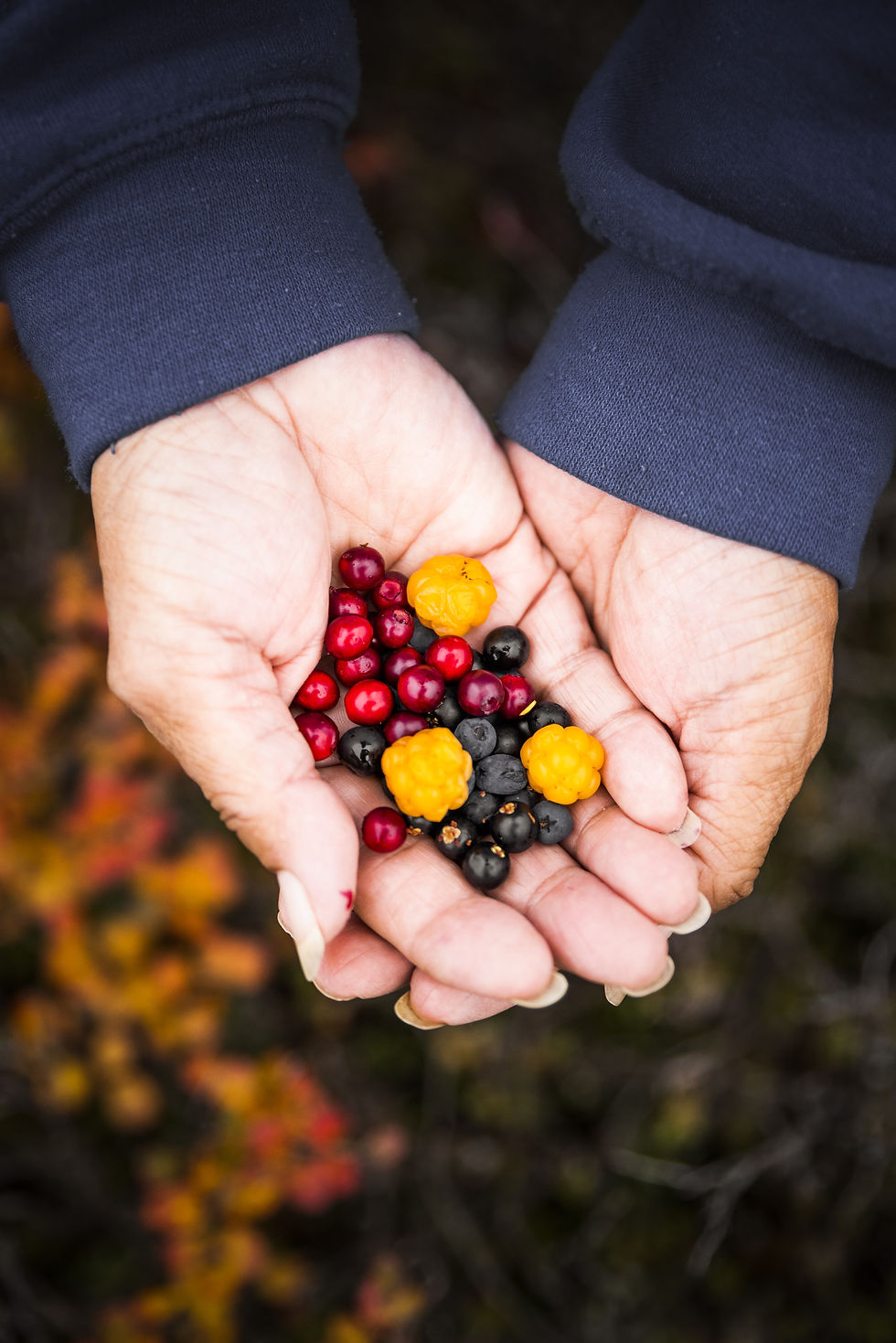 24-berries.jpg