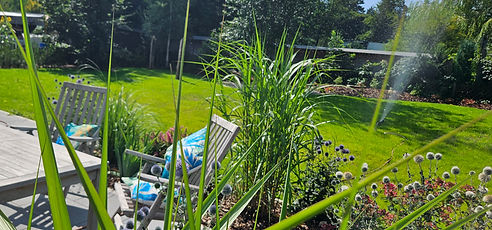 20250810_112156.jpg