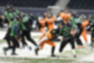 Indigenous Bowl Sergio_edited.png