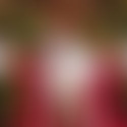 Abertura da decoração de Natal e chegada do Noel ao Catuaí acontecem no dia 01/11