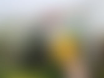 Catuaí Shopping Londrina recebe o Selo Clima Paraná