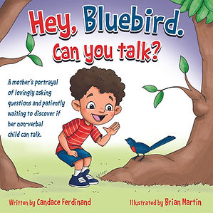 HBB_cover_copy copy.jpg