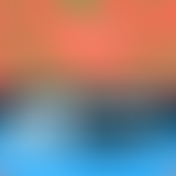 The Best Political Donations