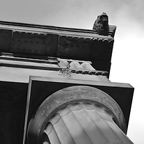 DSC_0557_edited.jpg