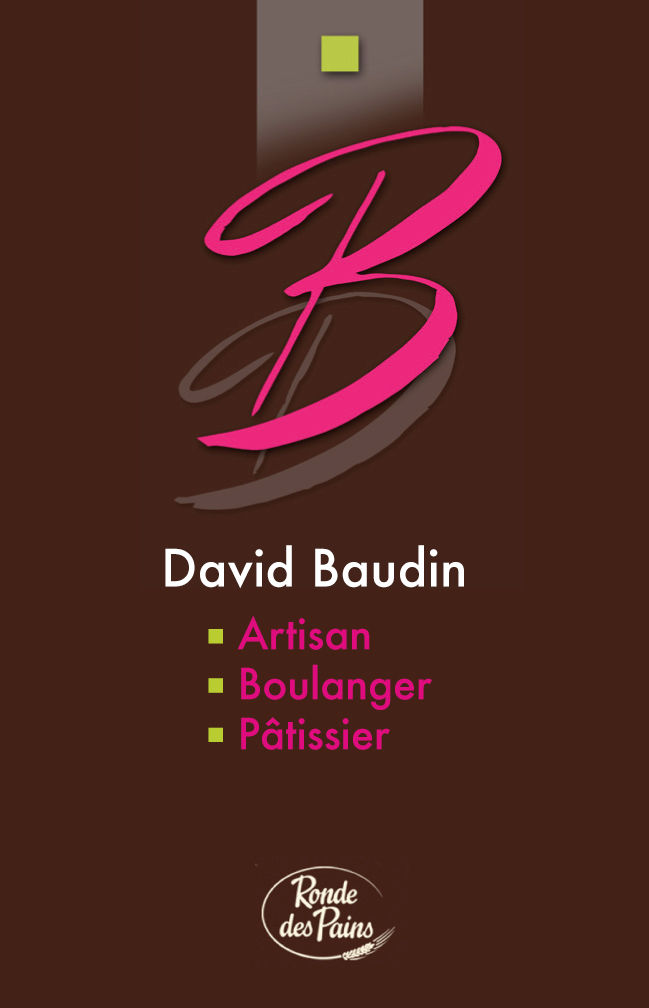 CV David Baudin