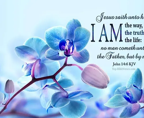 John-14-6-KJV-Christian-Bible-Verse-Desktop-Wallpaper-5.webp