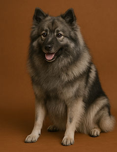 Reuzen Spitz