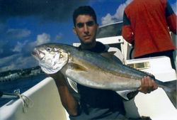 RICCIOLA APPENA PESCATA