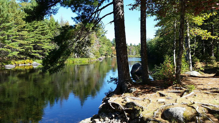 Scott Brook 02 21 2019.jpg