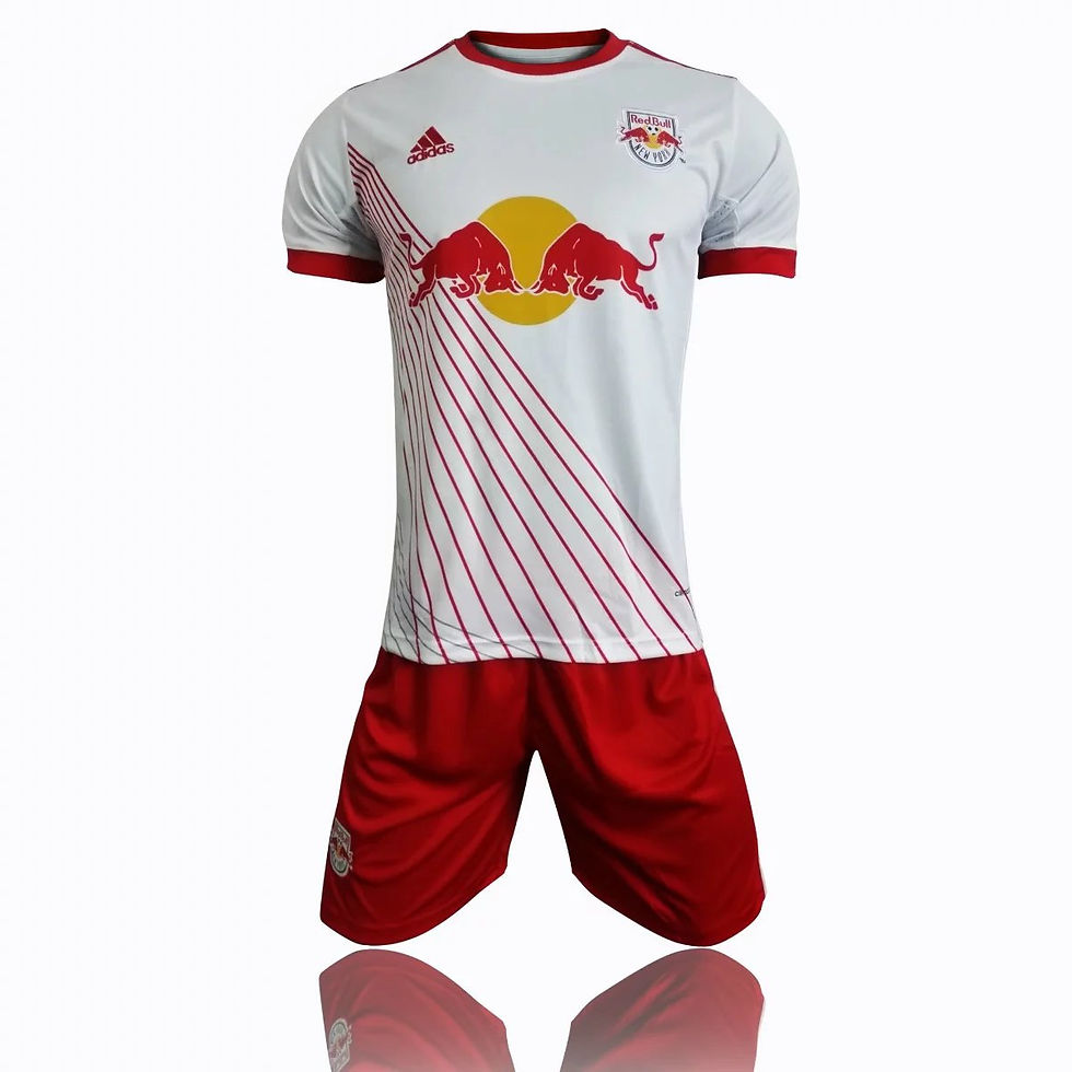 New York Red Bulls Domicile 2017-2018