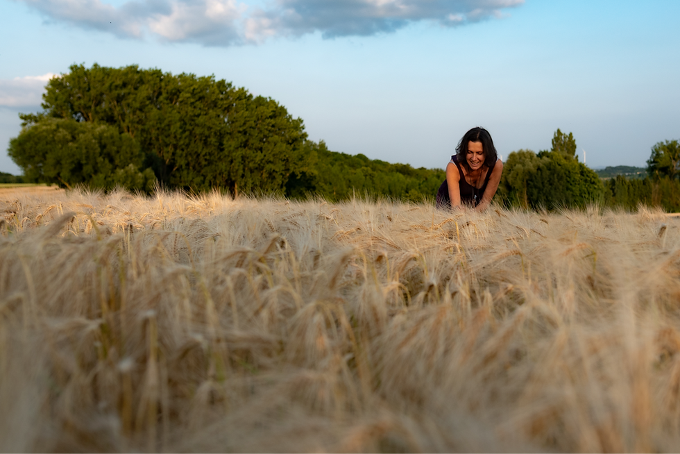 wheels-of-wisdom-Lies-Daenen