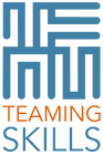 thumbnail_TeamingSkillzLogoVert (1)_edit