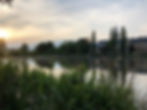 IMG_1066.jpeg