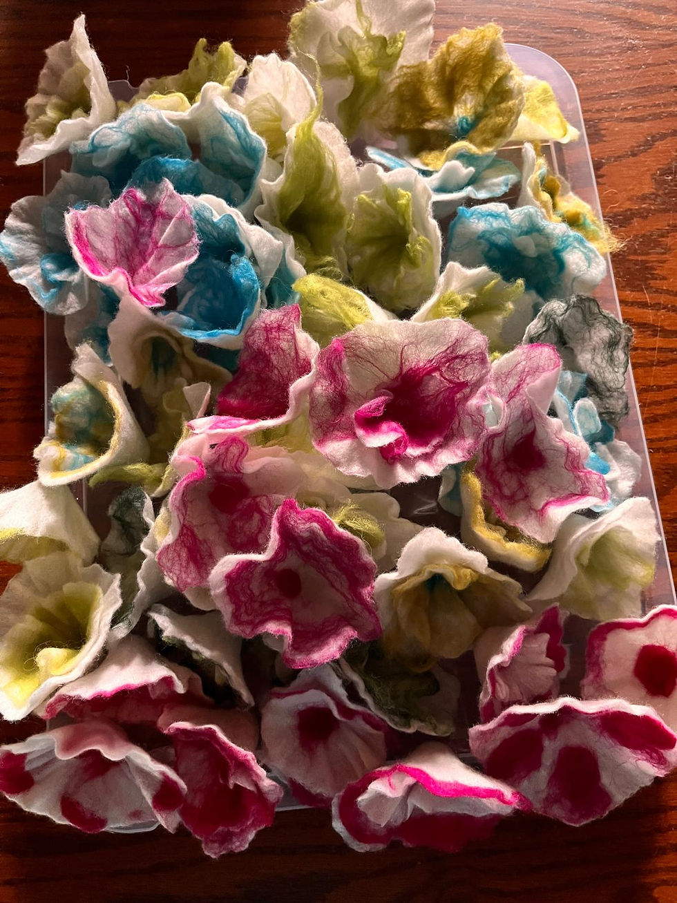 PHOTO-2024-12-29-17-47-40 (1)