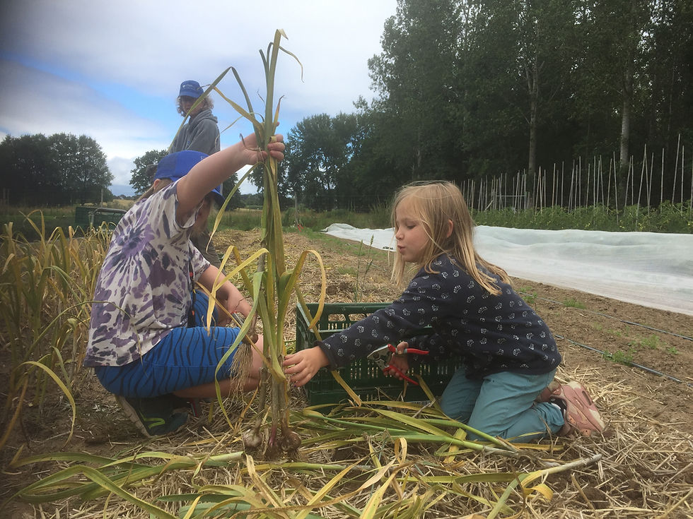 Plustraject op zaterdagvoormiddag