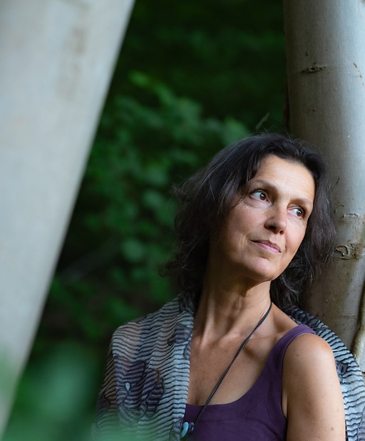 Lies-Daenen-Wheels-of-wisdom