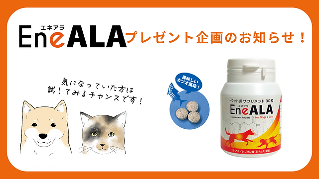 エネアラ 30粒×10個 犬猫用 EneALA〔エネアラ〕 犬・猫用 燃焼系