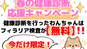 春の健康診断応援キャンペーン🐶
