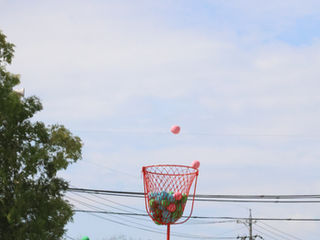 息子の運動会。